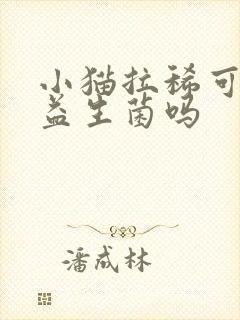 小猫拉稀可以吃益生菌吗