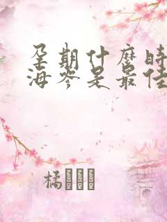 孕期什么时候吃海参是最佳时期