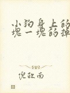小狗身上的毛一块一块的掉是怎么回事?