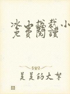 冰山总裁小萌妻免费阅读