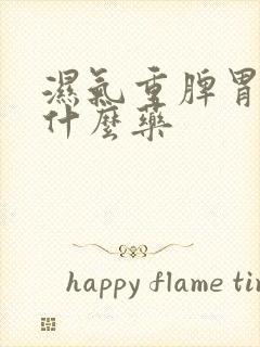 湿气重脾胃寒吃什么药