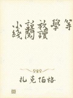 小说放学等我在线阅读