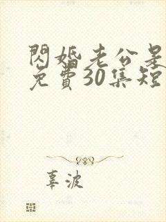 闪婚老公是豪门免费30集短剧