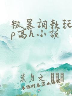 粗暴调教玩弄np高h小说