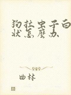 狗拉虫子白色线状怎么办