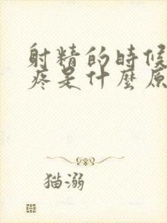 射精的时候有点疼是什么原因引起的