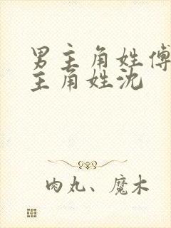 男主角姓傅,女主角姓沈