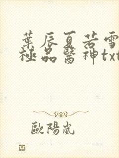 叶辰夏若雪都市极品医神txt