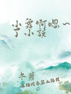 小舞啊嗯～进来了小说