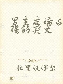 男主病娇占有欲强的宠文