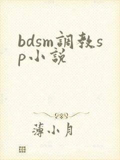 bdsm调教sp小说
