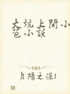 大炕上开小妞嫩苞小说