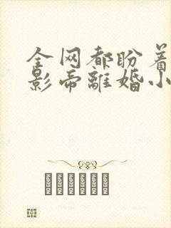 全网都盼着我和影帝离婚小说