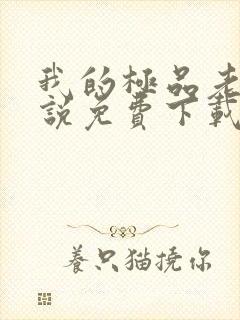 我的极品老婆小说免费下载