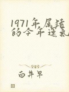 1971年属猪的今年运气怎么样