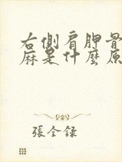 右侧肩胛骨后背麻是什么原因