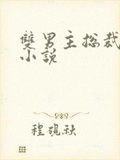 双男主总裁生子小说