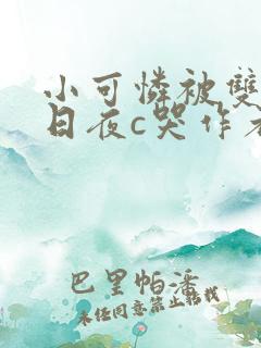 小可怜被双胞胎日夜c哭作者:xoxoxo12