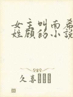 女主叫南希男主姓顾的小说