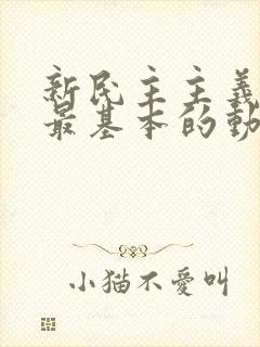 新民主主义革命最基本的动力是(