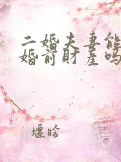 二婚夫妻能分割婚前财产吗