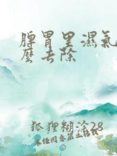 脾胃里湿气重怎么去除