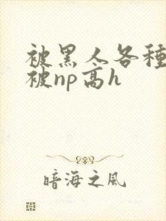 被黑人各种姿势被np高h