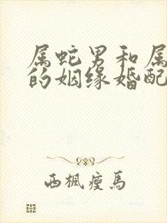 属蛇男和属牛女的姻缘婚配