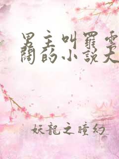 男主叫罗云和沈阔的小说大学生