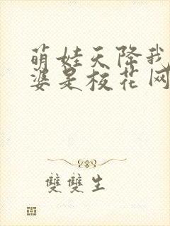 萌娃天降我的老婆是校花网剧