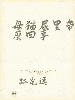 母猫尿里带血怎么回事