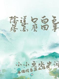 阴道口白色小疙瘩怎么回事