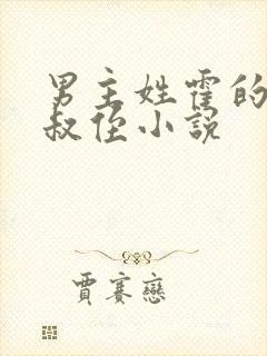 男主姓霍的总裁叔侄小说