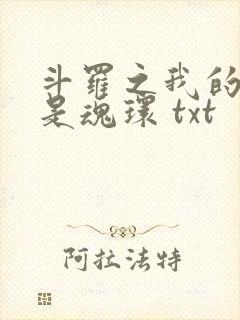 斗罗之我的武魂是魂环 txt