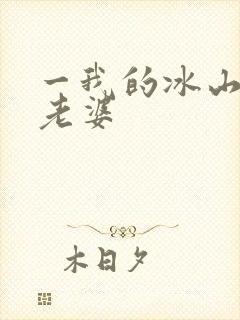 一我的冰山总裁老婆