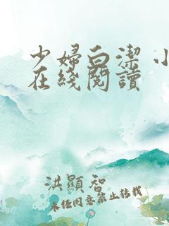 少妇白洁 小说在线阅读