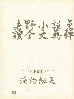 去野小说免费阅读全文无弹窗