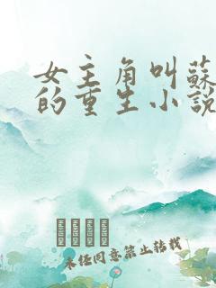 女主角叫苏软软的重生小说