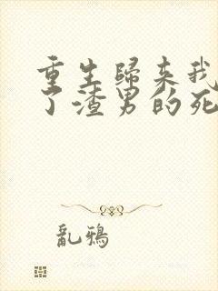 重生归来我嫁给了渣男的死对头