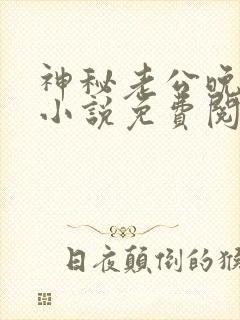 神秘老公晚上见小说免费阅读