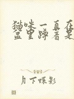 猫咪一直在猫砂盆里蹲着是怎么回事