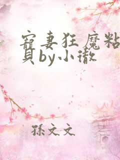 宠妻狂魔粘人宝贝by小彻
