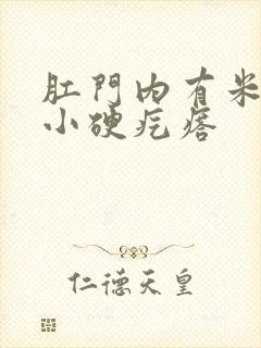 肛门内有米粒大小硬疙瘩