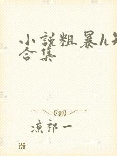 小说粗暴h短篇合集