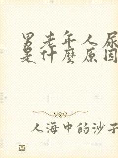 男老年人尿频繁是什么原因