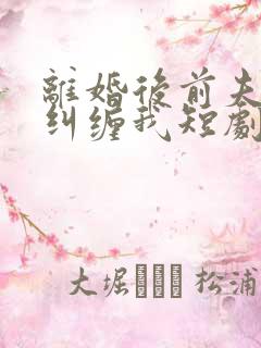 离婚后前夫总想纠缠我短剧大结局