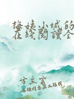 梅姨小城的小说在线阅读全文