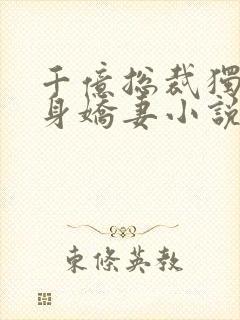 千亿总裁独宠替身娇妻小说