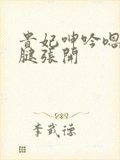 贵妃呻吟嗯啊双腿张开