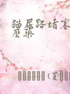 猫尿路堵塞吃什么药